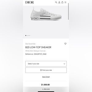 Dior B23 Low Top
Oblique